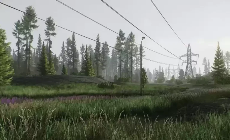 Лес в Escape from Tarkov – опасный оазис среди деревьев