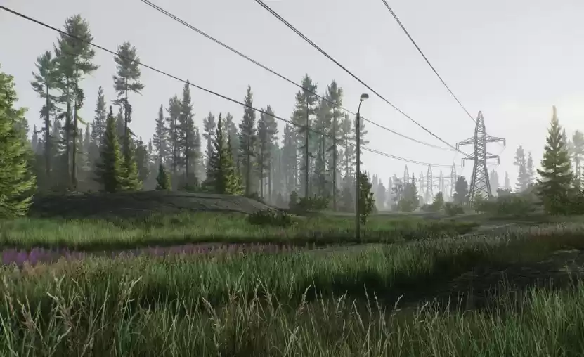 Лес в Escape from Tarkov – опасный оазис среди деревьев